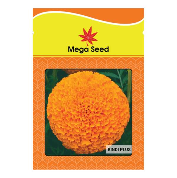 Hạt Giống Hoa Vạn Thọ Mega Bindi Plus