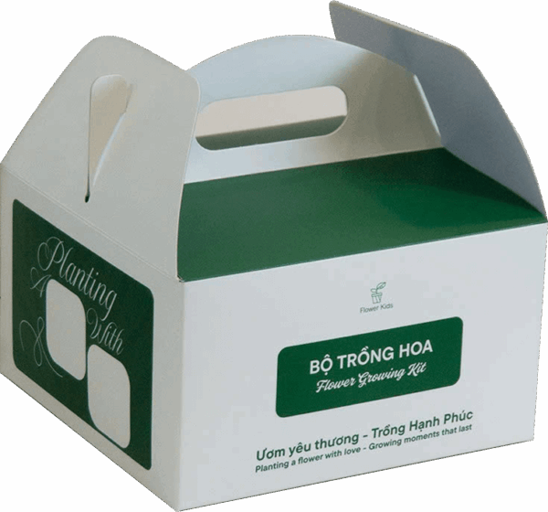 Bộ kit trồng hoa Amaryllis