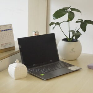 Cây để bàn làm việc