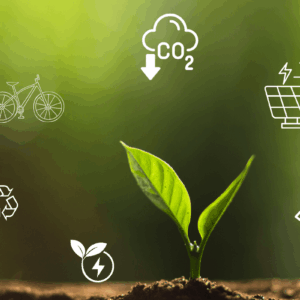 Thực hành sống xanh để cuộc sống bền vững hơn