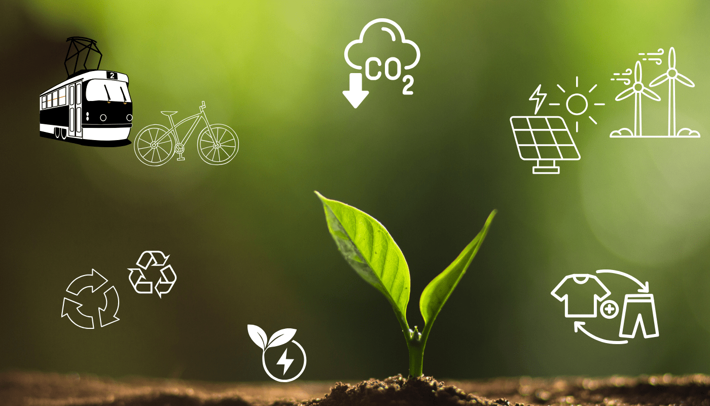 Thực hành sống xanh để cuộc sống bền vững hơn