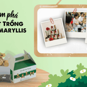 Khám phá thành phần bộ kit trồng hoa Amaryllis Flower Kids.