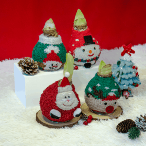 Củ sáp Amaryllis chỉ cần đặt xuống là nở, đúng tinh thần “mùa lễ an nhàn”, để mọi người có thêm thời gian tận hưởng không khí sum vầy.