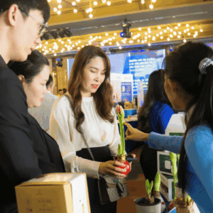 Chọn Amaryllis làm quà tặng cho đối tác, khách hàng VIP.